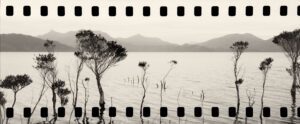 Lake Pedder